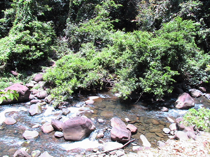 28 - Jardin des eaux 014.jpg